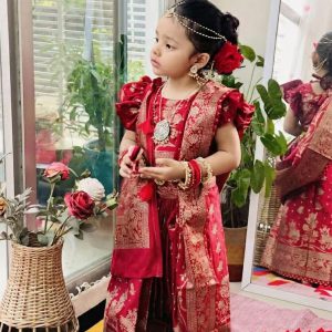 বেবি রেডি জাপানি সিল্ক শাড়ি (BDB - 032)